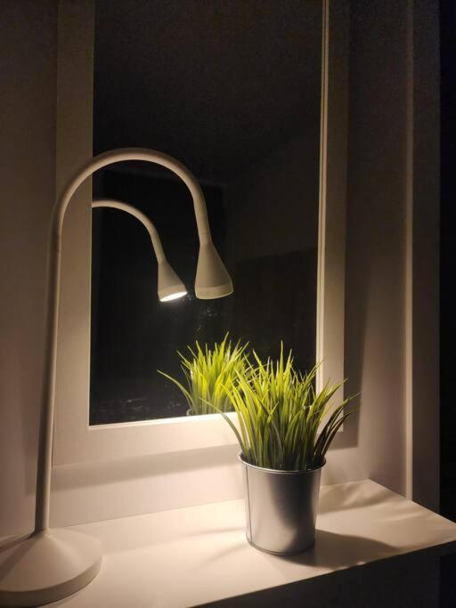 Piso De Diseno Elche Lejlighed Eksteriør billede