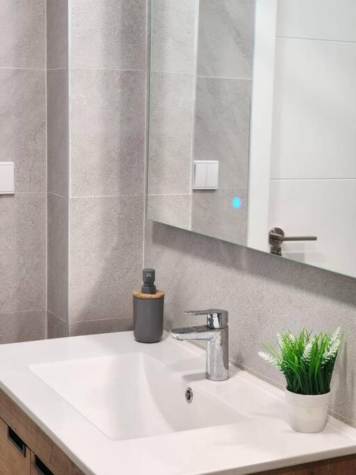 Piso De Diseno Elche Lejlighed Eksteriør billede